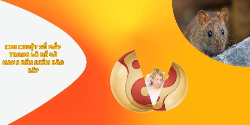 Con Chuột Số Mấy Trong Lô Đề Và Mang Đến Điềm Báo Gì?