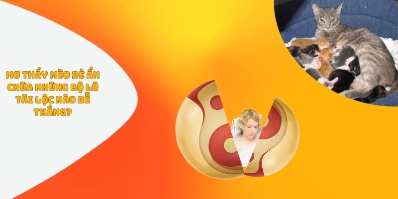 Mơ Thấy Mèo Đẻ Ẩn Chứa Những Bộ Lô Tài Lộc Nào Dễ Thắng?
